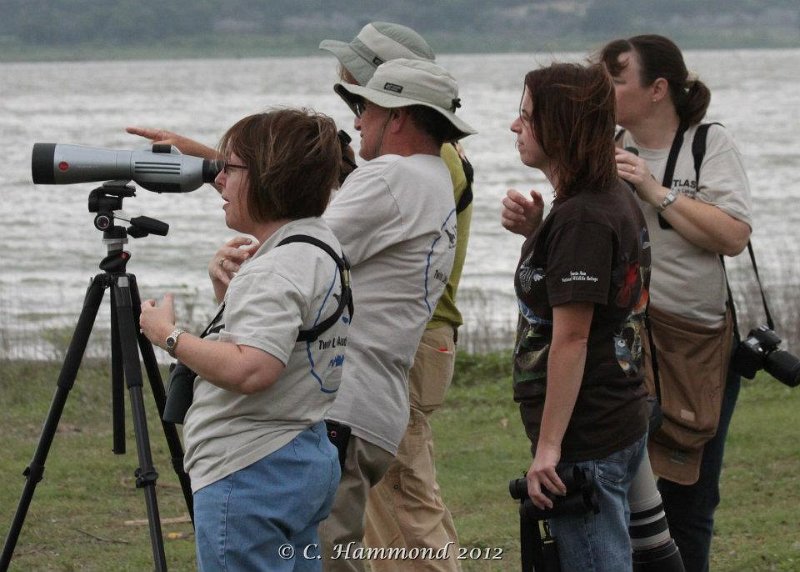 Looking for Tree Swallow Nest.jpg